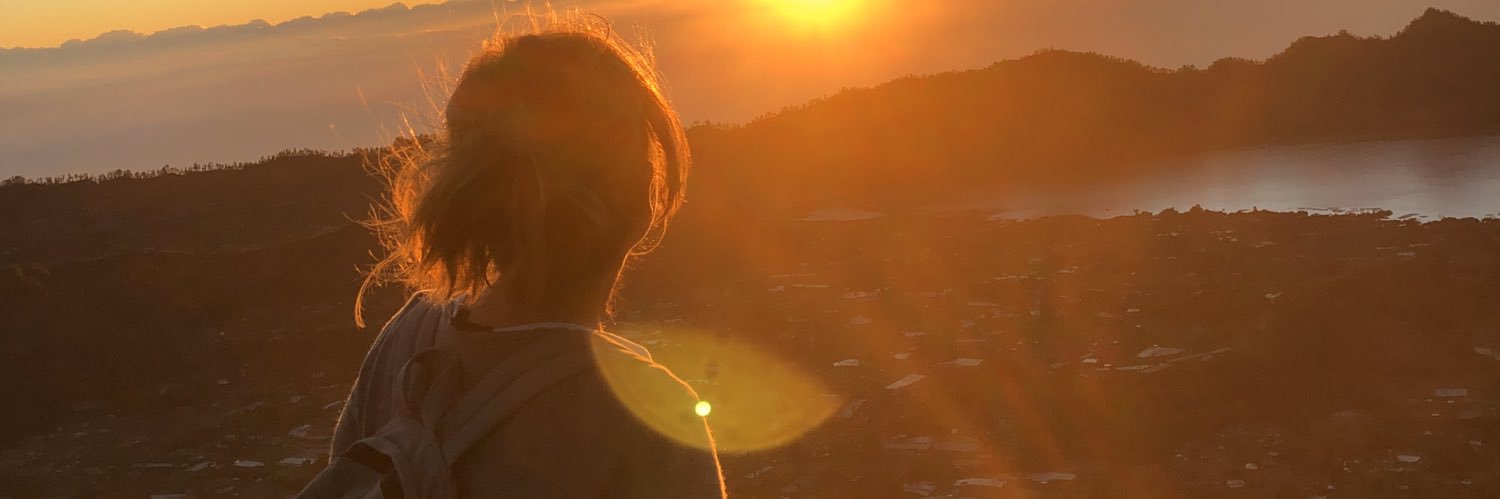 Sandy van Heerde banner