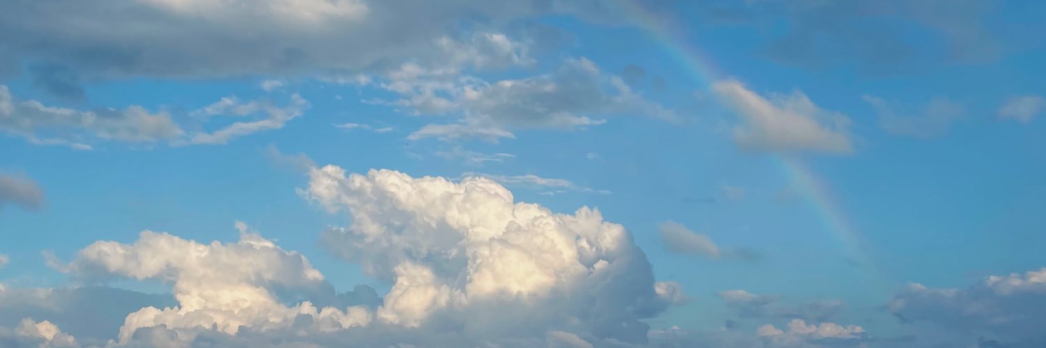 robonardi's profile banner image