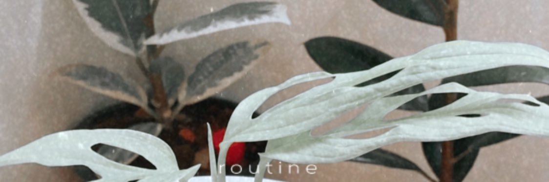 MinnieNi_TC's profile banner image