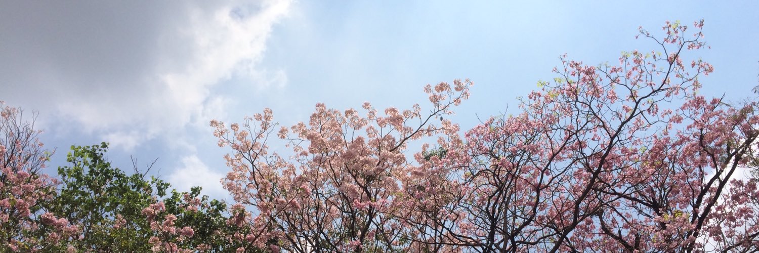 DinaDisi's profile banner image