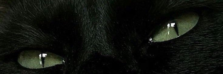 officialrosspr's profile banner image