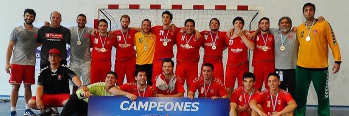 Handball Ward banner