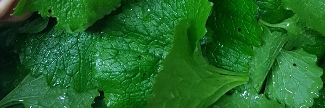IngreyMike's profile banner image