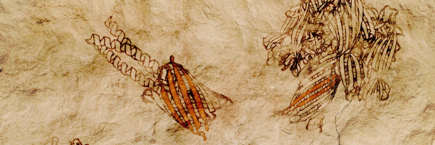 Joanna Slusky 🫖 banner