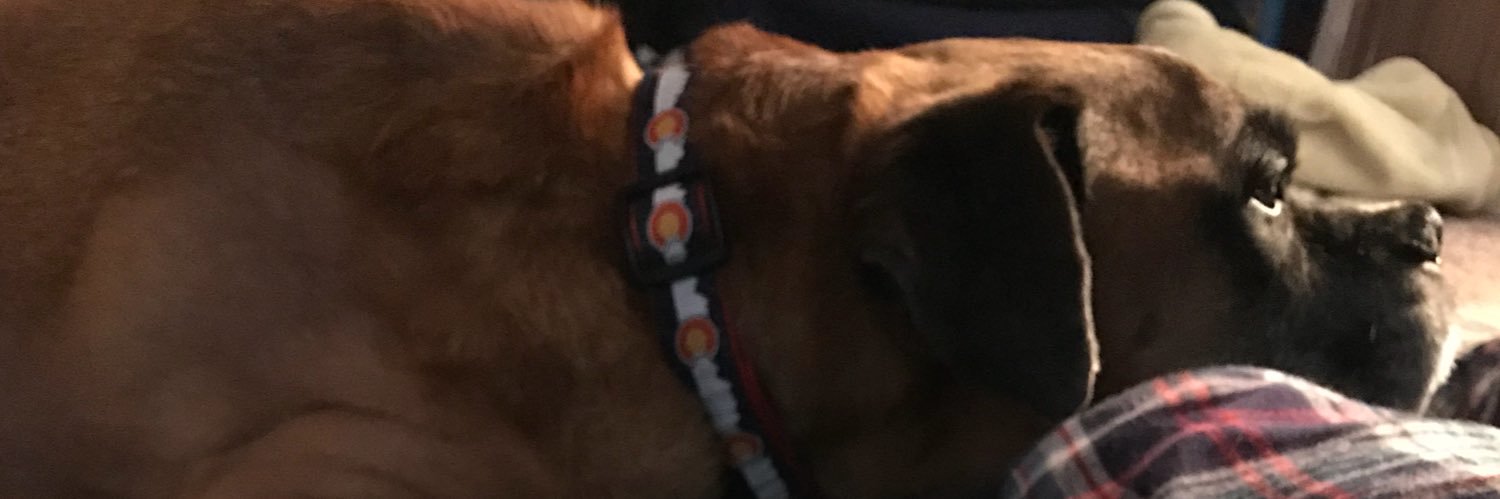 BrianTaylorLive's profile banner image