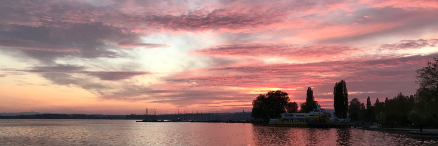 rvsingla's profile banner image