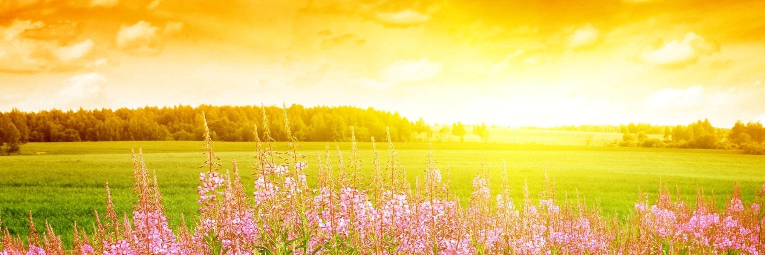 RishteyDotNet's profile banner image
