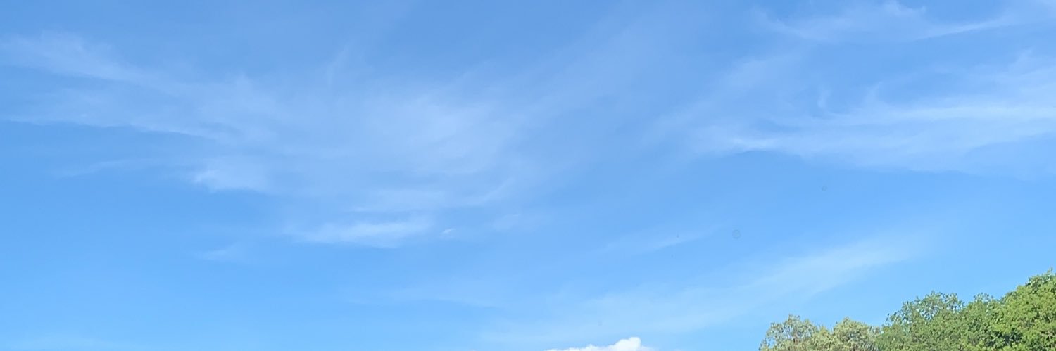 beeybeeh's profile banner image