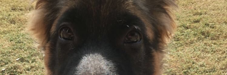 csjohns44's profile banner image