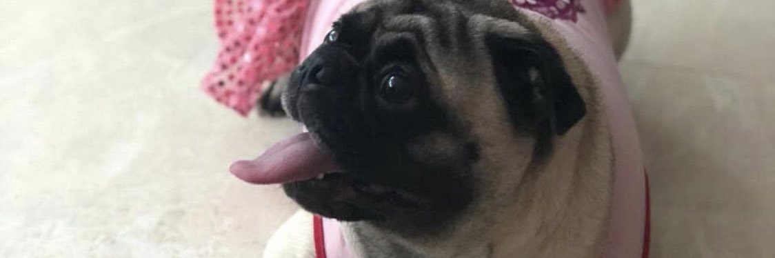 GioviBlel's profile banner image