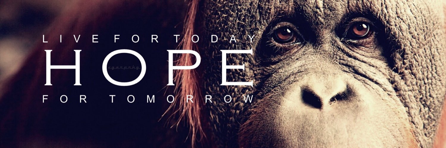 egarprhg's profile banner image