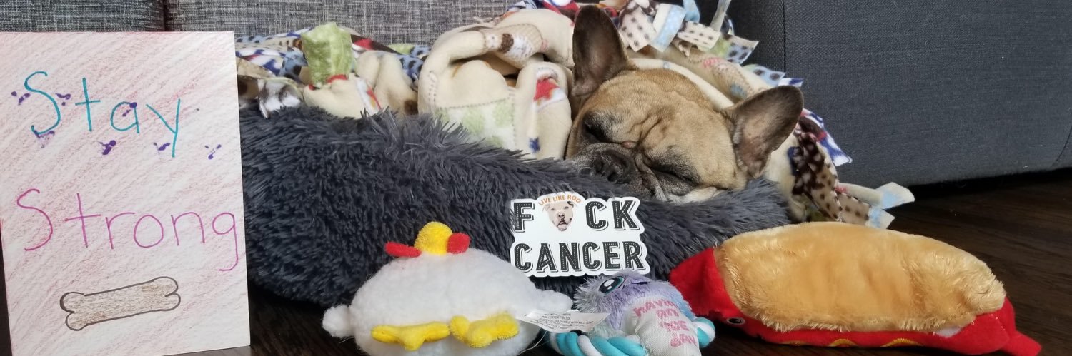 Live Like Roo Foundation banner