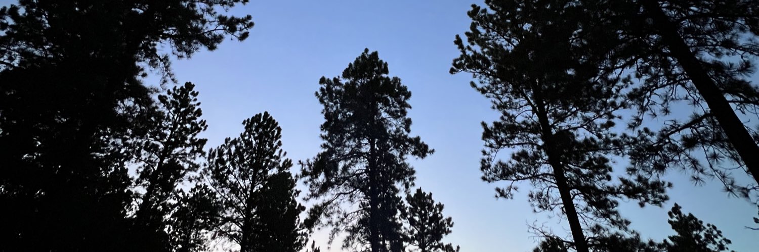 Erik Brodnick banner