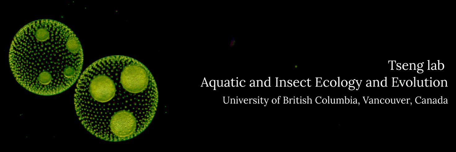 Michelle Tseng banner