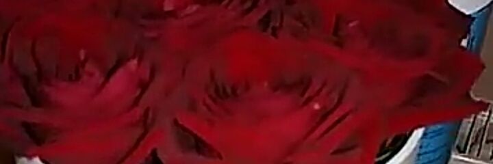 Drewdey21's profile banner image