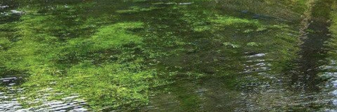 salwasaud79's profile banner image
