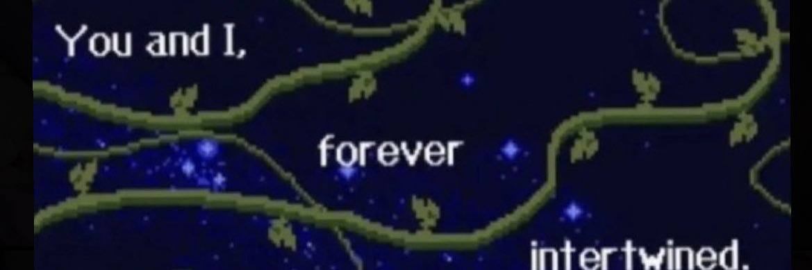 Suki banner