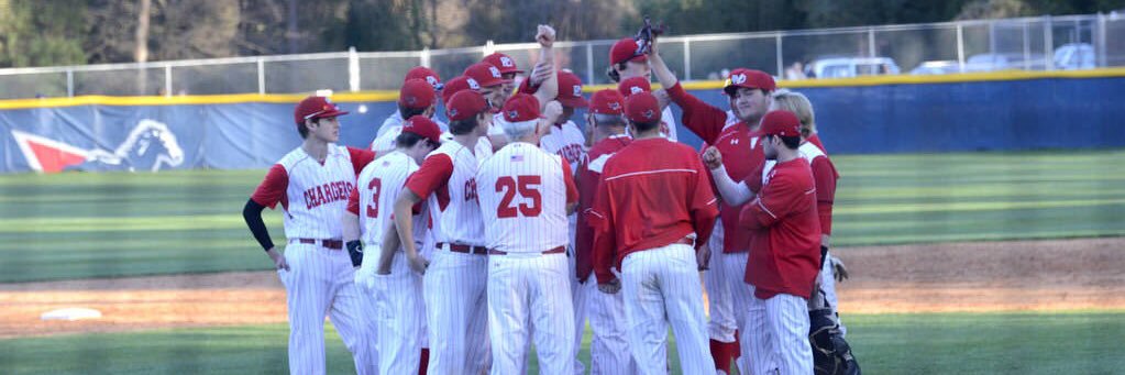 Providence Day Baseball banner