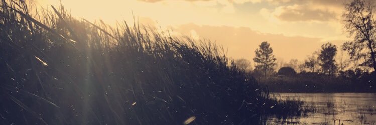 joe_link4's profile banner image