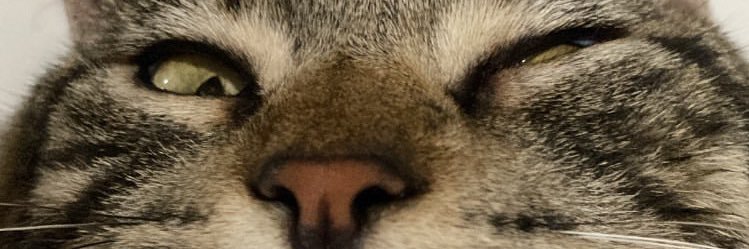 Procurando eu 🏹 banner