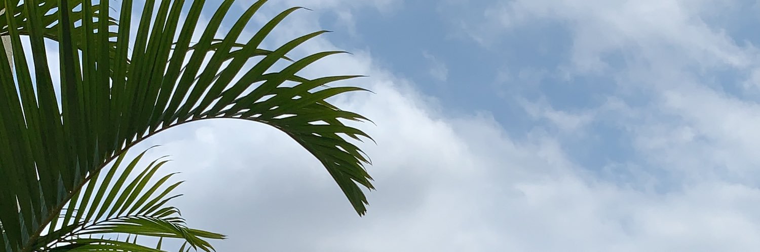 erikmarques2011's profile banner image