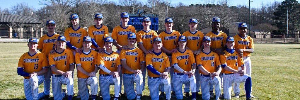 Piedmont Baseball ⚾️ banner