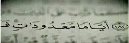 alhada1432's profile banner image
