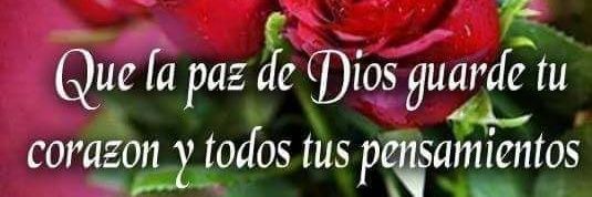 Silvia De DIOS banner