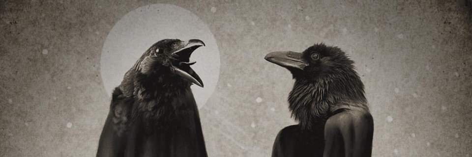 eljaviponce's profile banner image