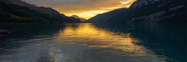 gdproject1 Profile Banner