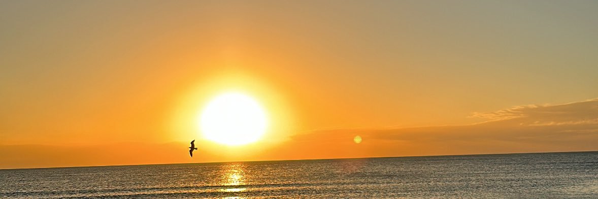 mbode_21's profile banner image