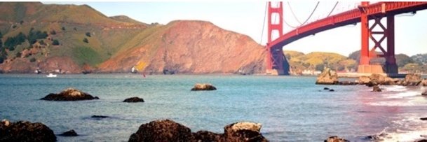 Stephanie Buscemi banner