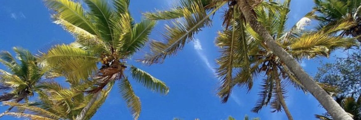 ella_hammah's profile banner image