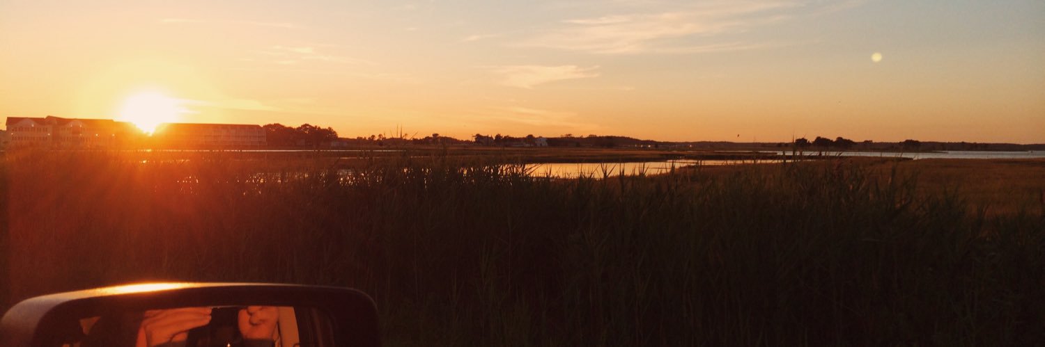 JessWhitesel's profile banner image