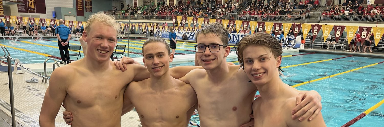 Perham Swim & Dive banner