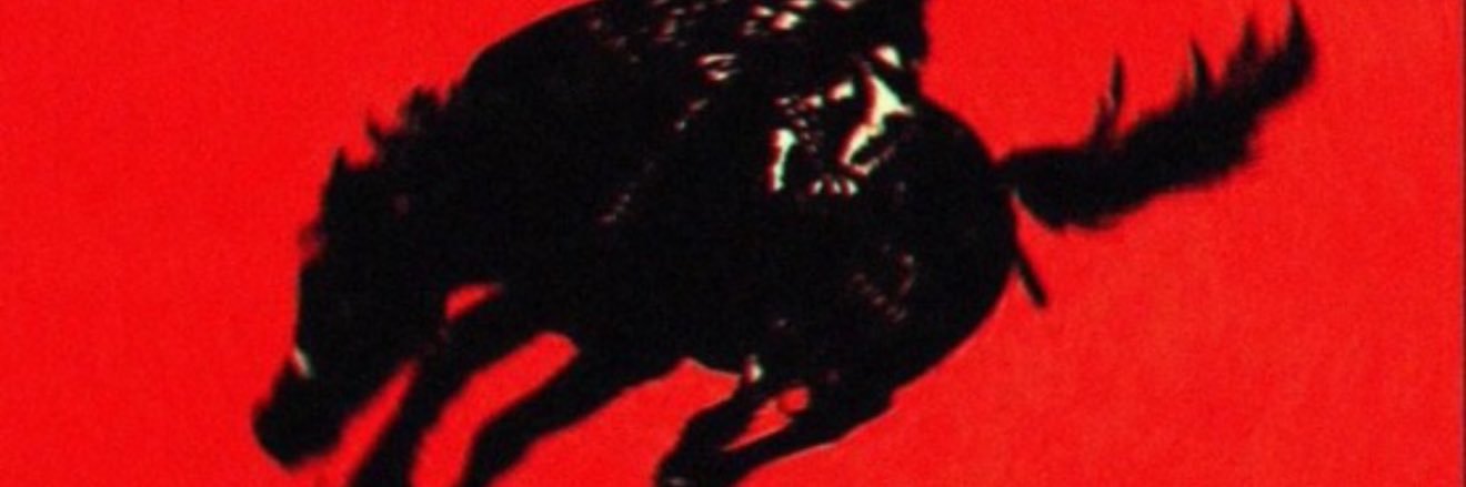 rayondial's profile banner image