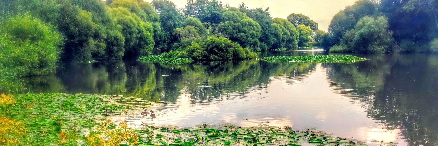 carpman1976's profile banner image