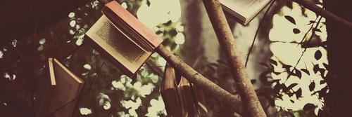 ¡Miss Escritos!👑 banner