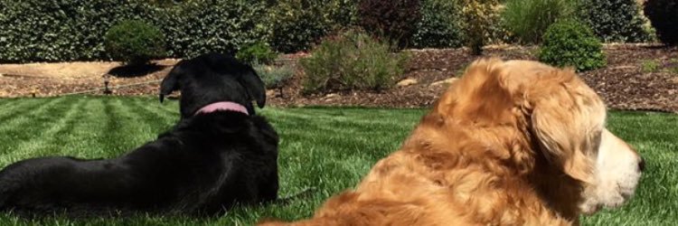 jeffreybailey7's profile banner image