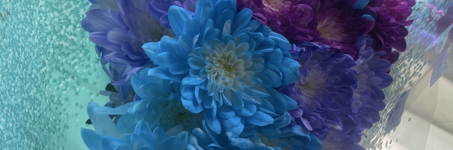 flex_dex's profile banner image