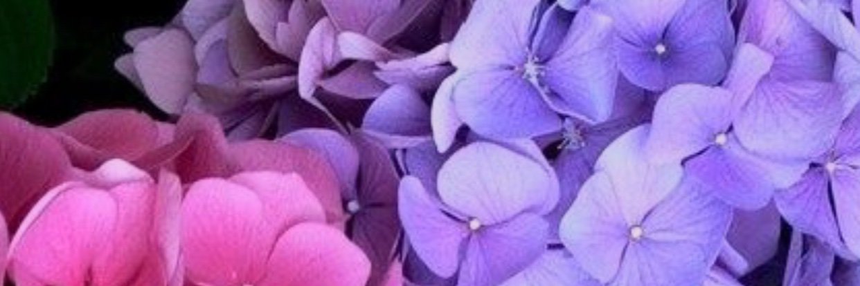 BMookrin4's profile banner image