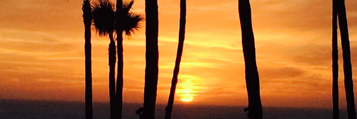 giancdelgado's profile banner image