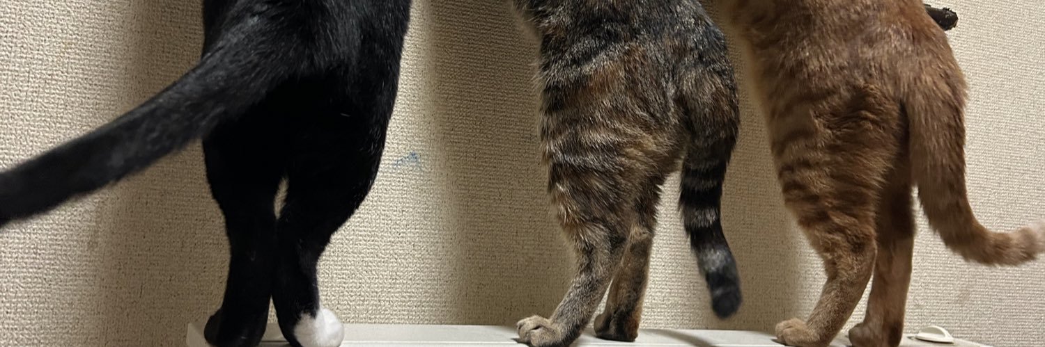 もずのあ🐈‍⬛ banner