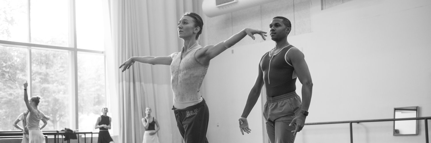 Louisville Ballet banner