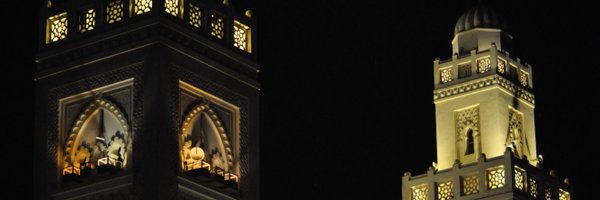 mo_connection Profile Banner