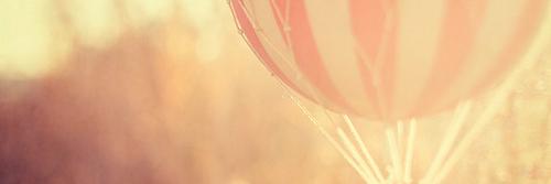 gausulff's profile banner image