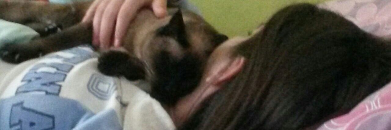 Floordopazo's profile banner image