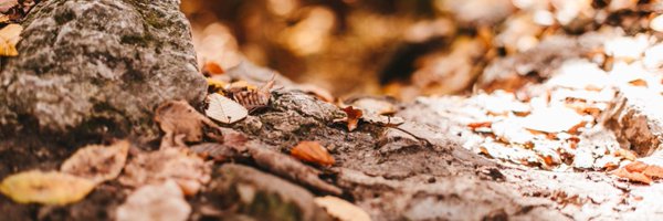 EngadinStMoritz Profile Banner