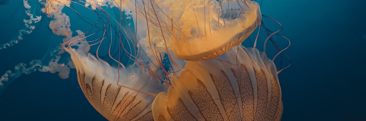 antoninooo's profile banner image