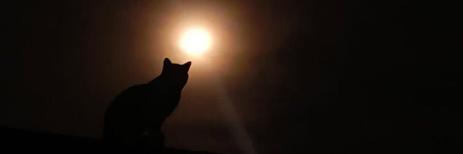 Delficalvo_'s profile banner image
